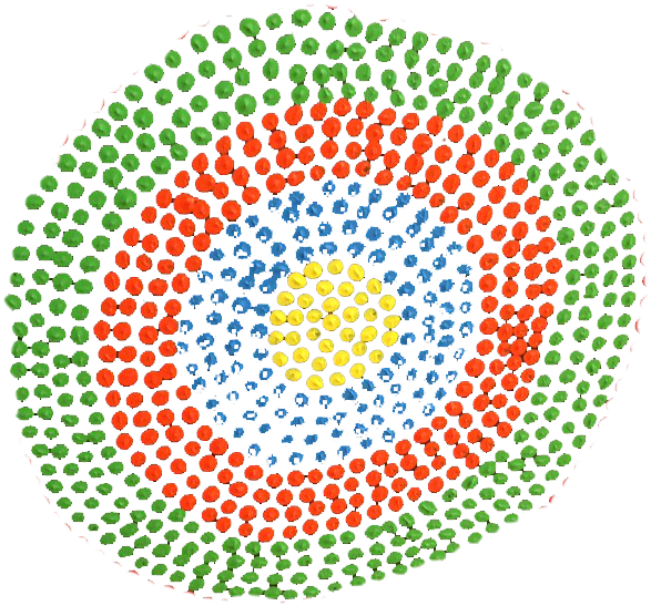 Torres Strait Islander Symbol Transparent Torres Strait Islander Symbol Transparent