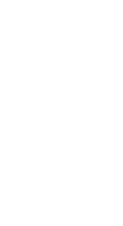  Sally Fitzgerald ACT Councillor NATSICC Secretary 