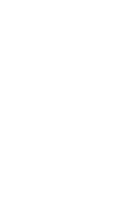  Shirley Quaresimin WA Councillor NATSICC Deputy Chairperson