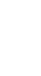  Sally Fitzgerald ACT Councillor NATSICC Secretary 